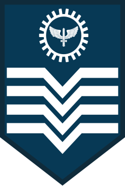 Segundo-Sargento air force sleeve insignia