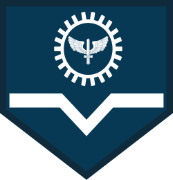 Soldado air force sleeve insignia