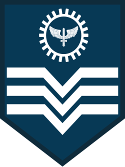 Terceiro-Sargento air force sleeve insignia