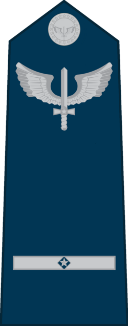 Suboficial air force sleeve insignia