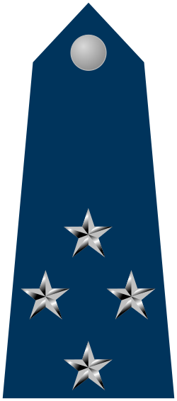 Tenente-Brigadeiro shoulder insignia