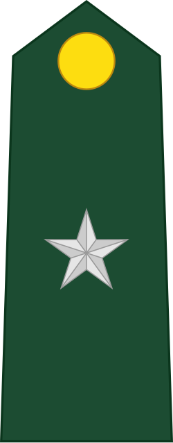 Aspirante-a-Oficial shoulder insignia
