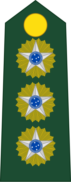 Coronel shoulder insignia