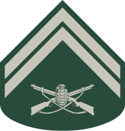 Cabo sleeve insignia