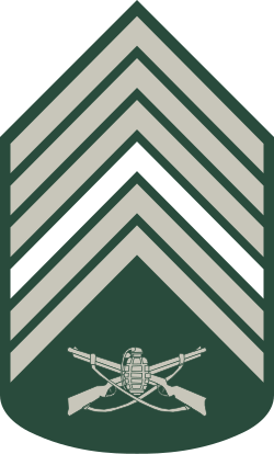 Primeiro-Sargento sleeve insignia