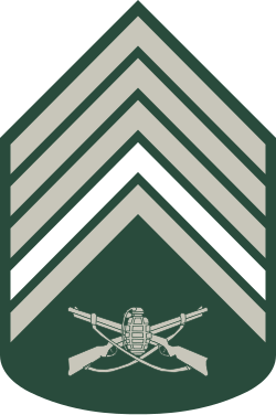 Segundo-Sargento sleeve insignia