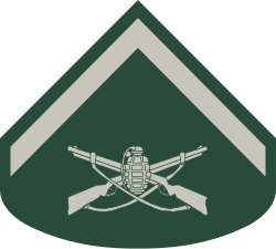 Soldado sleeve insignia