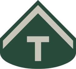 Taifeiro sleeve insignia