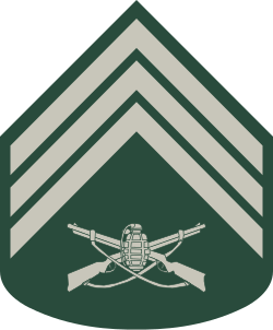 Terceiro-Sargento sleeve insignia