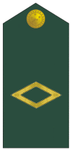 Subtenente sleeve insignia