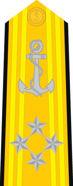 Almirante de Esquadra shoulder insignia