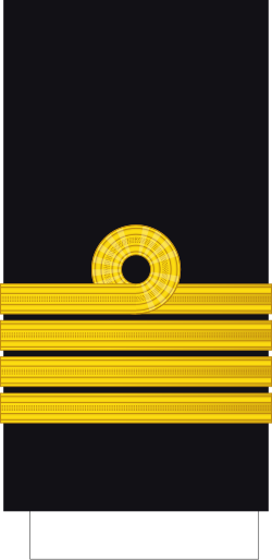 Capitão de Mar e Guerra naval sleeve insignia