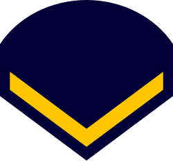 Marinheiro sleeve insignia