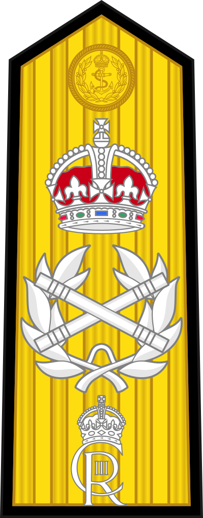 Admiral of the Fleet sleeve insignia