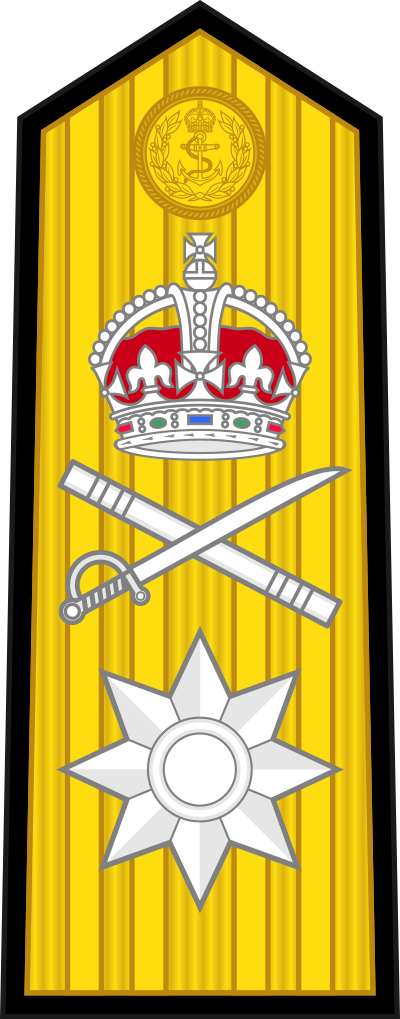 Commodore sleeve insignia