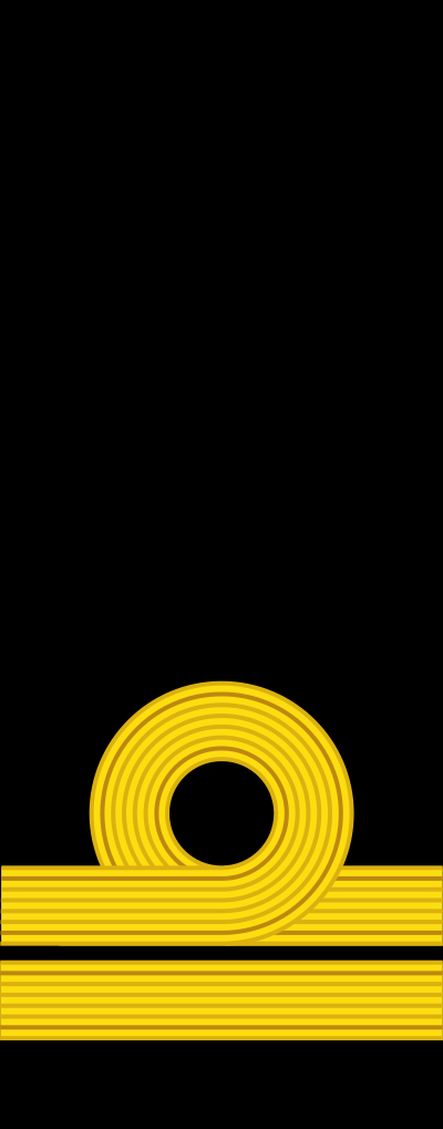 Lieutenant sleeve insignia