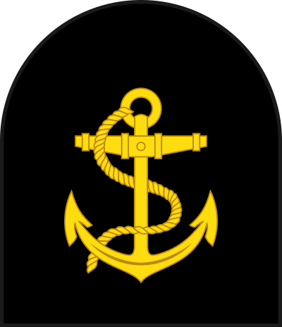 Leading Hand sleeve insignia