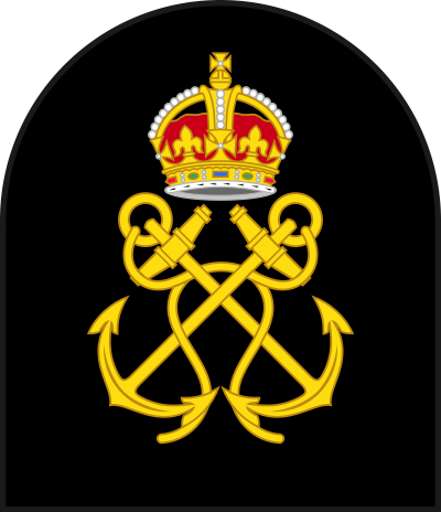 Petty Officer sleeve insignia