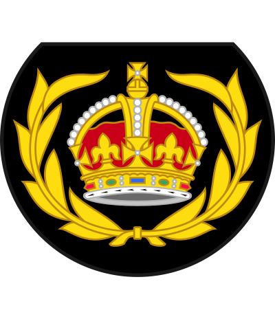 Warrant Officer 2 sleeve insignia
