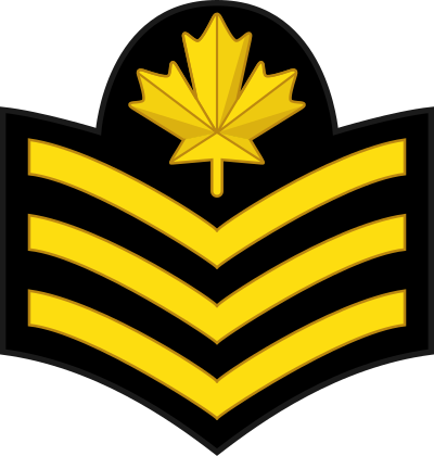 Petty Officer 2nd Class rank insignia