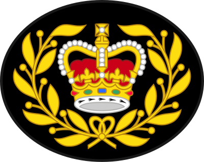Chief Petty Officer 2nd Class rank insignia