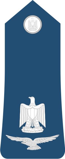 Air Force Ra'id shoulder insignia