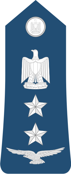 Air Force Aqid shoulder insignia