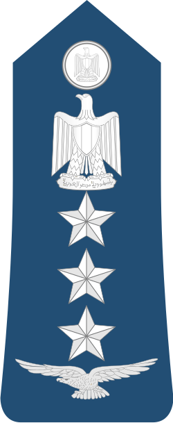 Air Force Amid shoulder insignia
