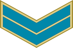 Air Force 'Arif insignia