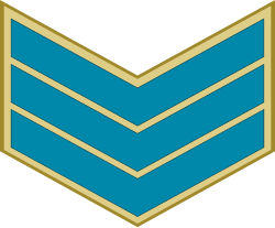 Air Force Raqib insignia