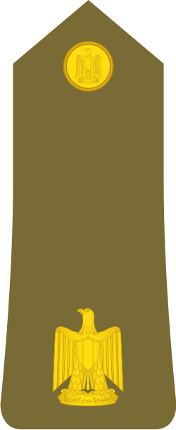 Ra'id shoulder insignia