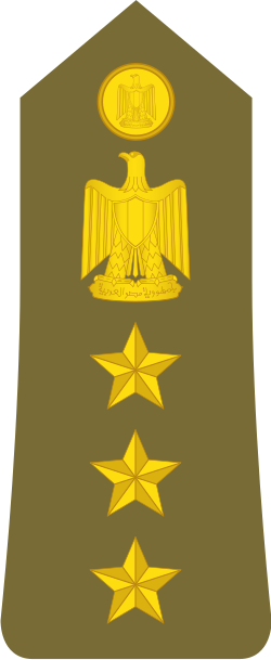 Amid shoulder insignia