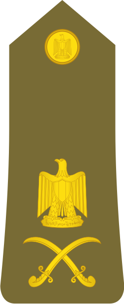 Liwa shoulder insignia