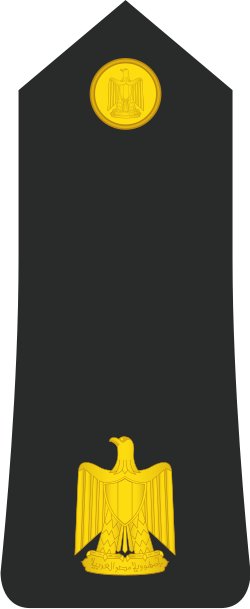 Naval Ra'id shoulder insignia