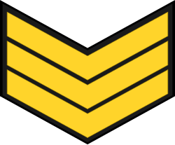 Naval Raqib insignia
