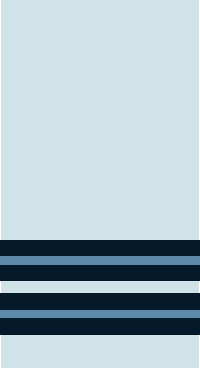 Flight Lieutenant insignia