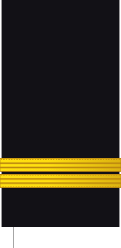 Enseigne de vaisseau de 1re classe sleeve insignia