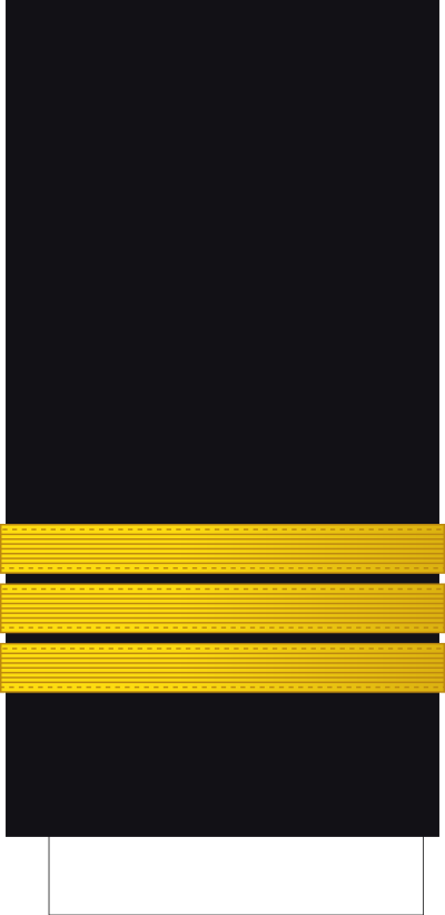 Lieutenant de vaisseau sleeve insignia