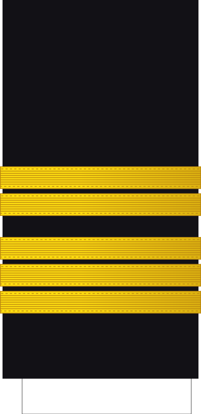 Capitaine de vaisseau sleeve insignia