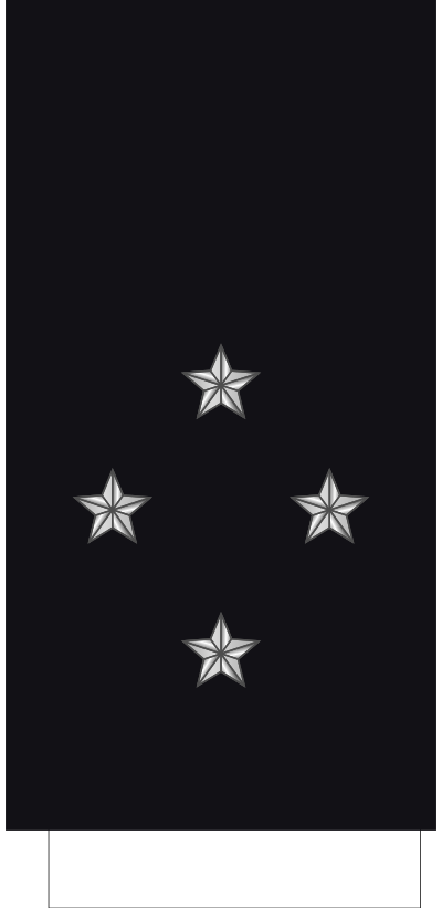 Vice-amiral d'escadre sleeve insignia