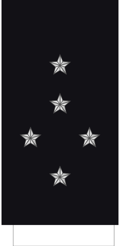 Amiral sleeve insignia