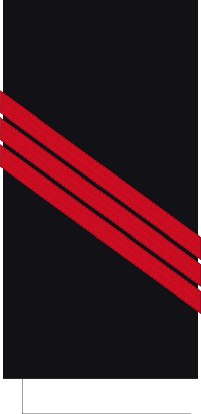 Quartier-maître de 1re classe sleeve insignia