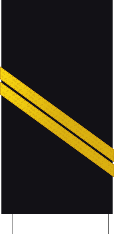 Second-maître sleeve insignia