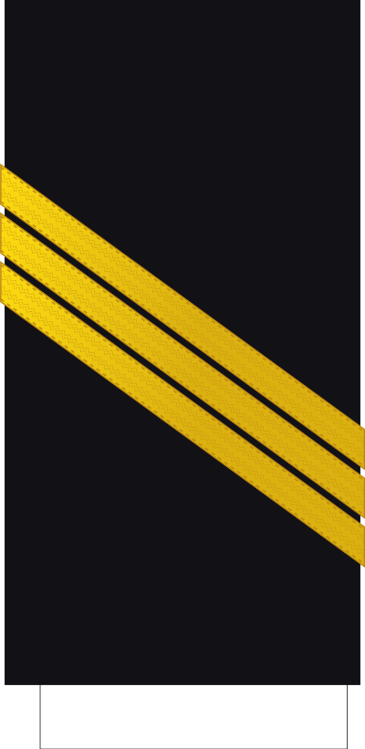 Maître sleeve insignia