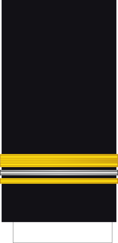 Maître principal sleeve insignia