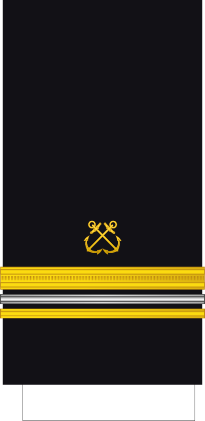 Major sleeve insignia
