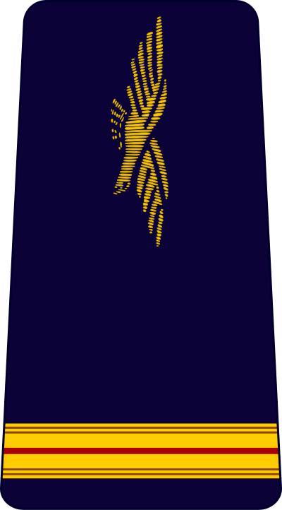Adjudant-chef air force insignia