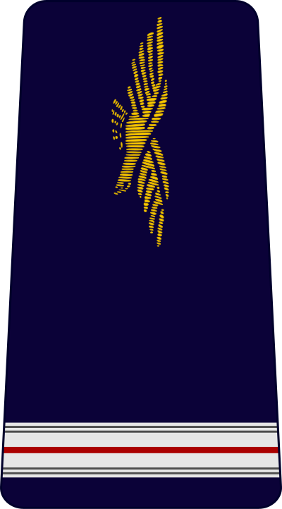 Adjudant air force insignia