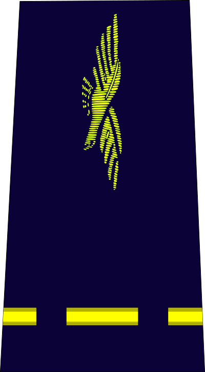 Aspirant air force insignia