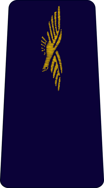 Aviateur de 2e classe insignia